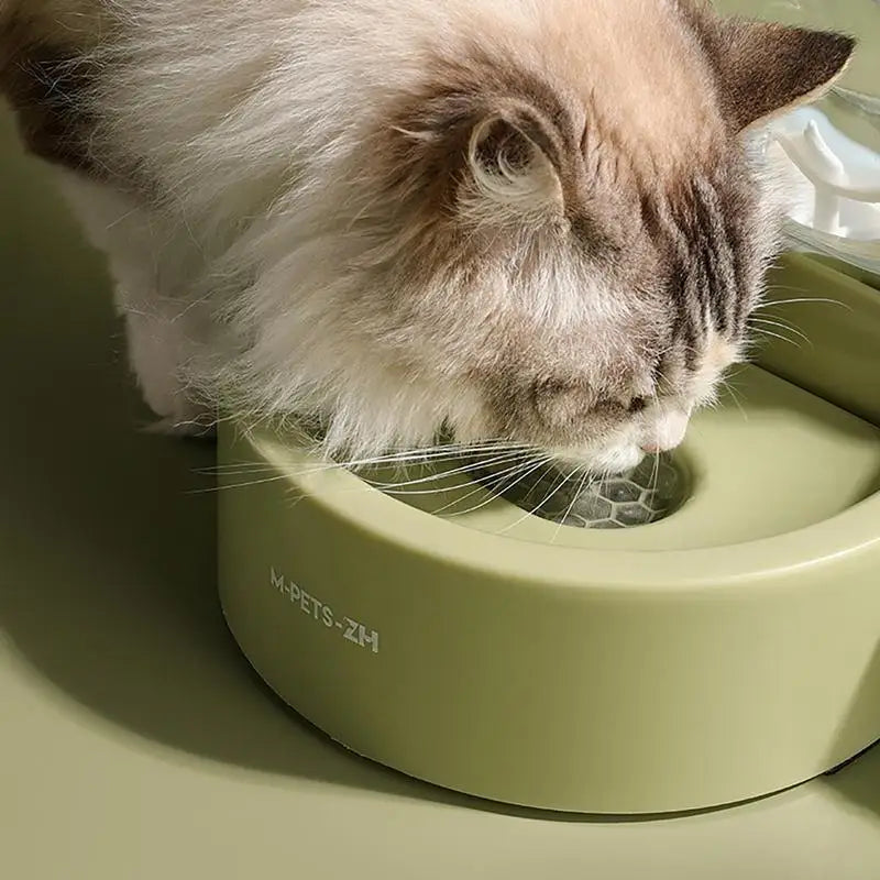 Automatic Water Bowl For Dogs Snail Shape Cat Water Bowl Pet Water Fountain 2.2L Large Capacity Watering Supplies Dispenser With